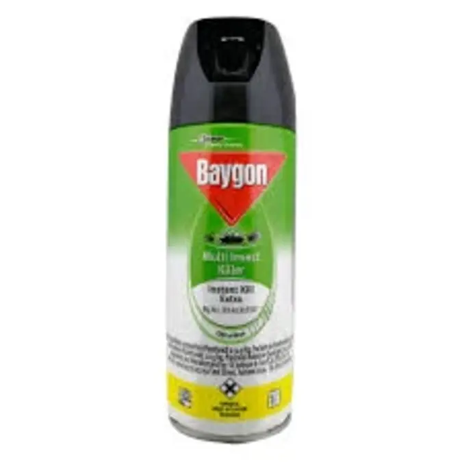 Baygon Insecticide Odourless 300ml